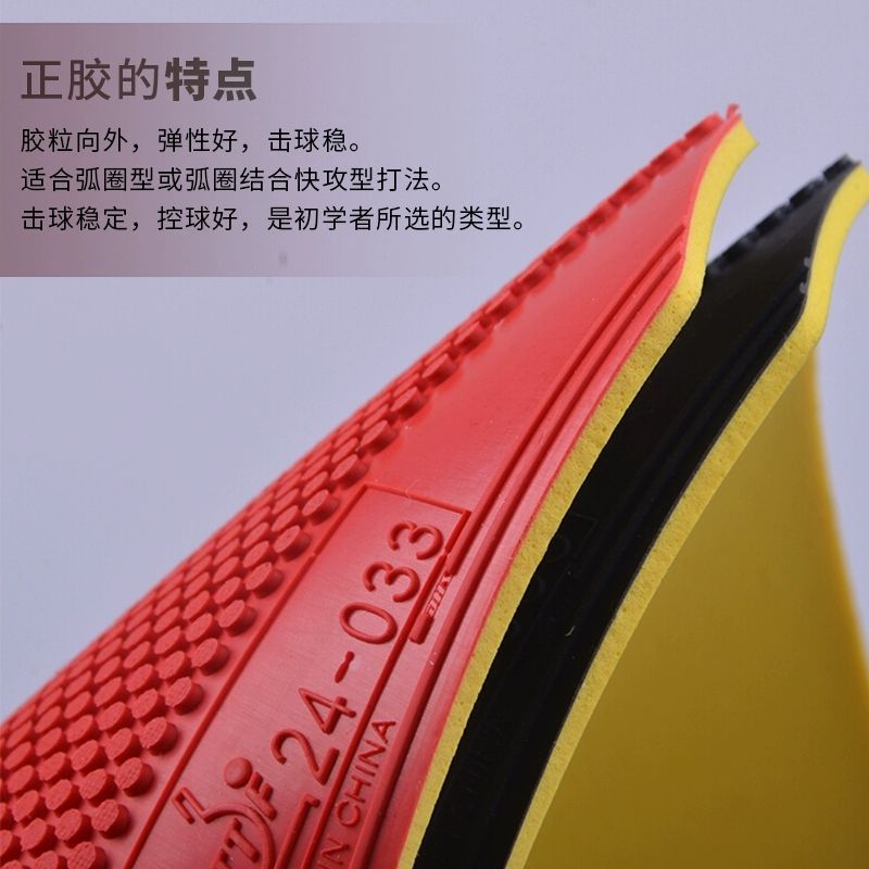 ยางปิงปอง DHS Dragon Shadow แบ - Table Tennis Shop บทวิจารณ์และราคา